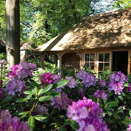 B&B La 'Petite Bergerie' Дорн Экстерьер фото