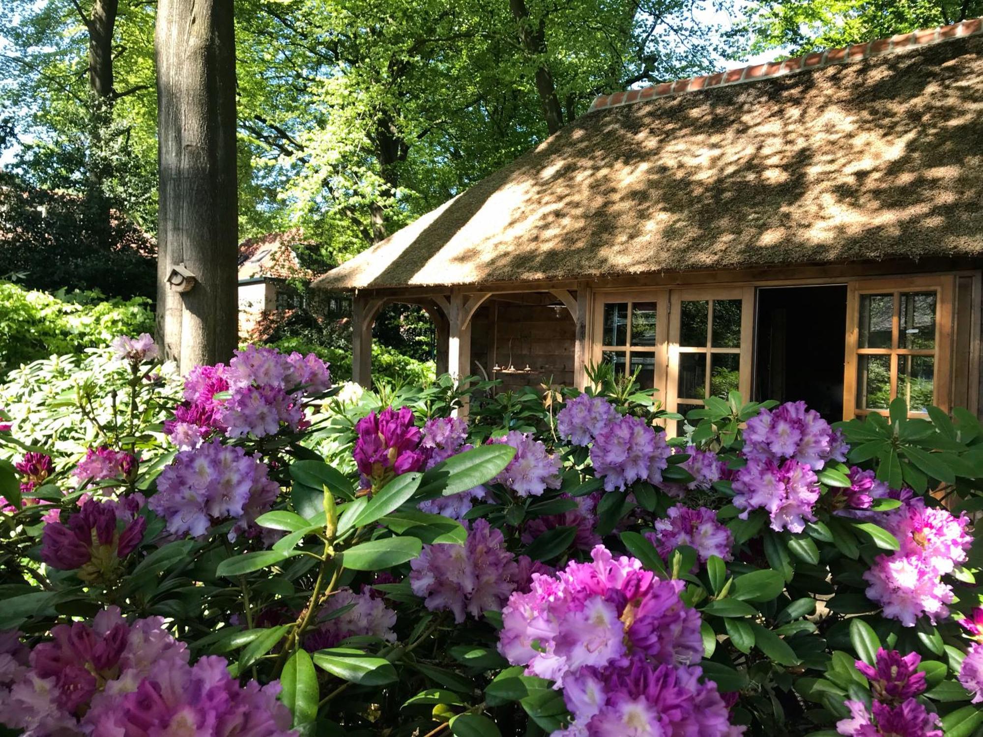 B&B La 'Petite Bergerie' Дорн Экстерьер фото